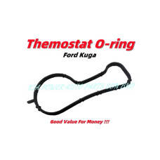 Themostat O Ring